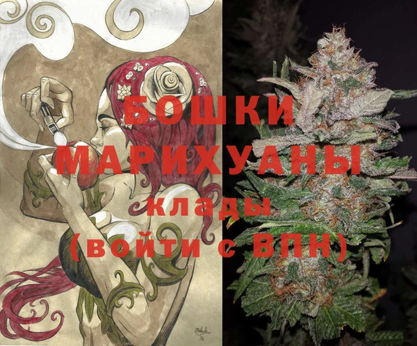 бошки Алексин